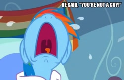 Size: 771x500 | Tagged: safe, edit, edited screencap, screencap, character:rainbow dash, species:pony, episode:tanks for the memories, g4, my little pony: friendship is magic, caption, crying, dyke, female, image macro, solo, text, tomboy