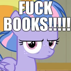 Size: 1078x1078 | Tagged: safe, edit, edited screencap, screencap, character:wind sprint, species:pegasus, species:pony, episode:common ground, g4, my little pony: friendship is magic, angry, book, caption, cropped, excessive exclamation marks, image macro, solo, text, vulgar, wind sprint is not amused