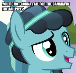 Size: 520x500 | Tagged: safe, edit, edited screencap, screencap, character:thorax, species:changeling, episode:the times they are a changeling, g4, my little pony: friendship is magic, beverly hills cop, caption, cropped, crystal hoof, disguised changeling, eddie murphy, image macro, imitation, male, mane, solo, text