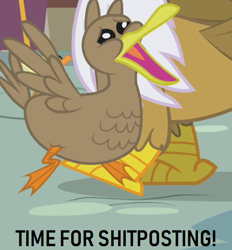 Size: 664x714 | Tagged: safe, edit, edited screencap, screencap, character:gilda, species:duck, episode:griffon the brush-off, g4, my little pony: friendship is magic, cropped, op, op is a duck (reaction image), open beak, scared, vulgar