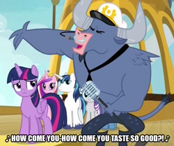 Size: 599x500 | Tagged: safe, edit, edited screencap, screencap, character:iron will, character:princess cadance, character:shining armor, character:twilight sparkle, character:twilight sparkle (alicorn), character:twilight velvet, species:alicorn, species:pony, species:unicorn, episode:once upon a zeppelin, g4, my little pony: friendship is magic, airship, brown sugar (song), caption, cropped, image macro, microphone, rolling stones, song reference, text, the rolling stones, zeppelin