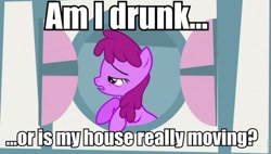 Size: 500x283 | Tagged: safe, edit, edited screencap, screencap, character:berry punch, character:berryshine, episode:hearts and hooves day, g4, my little pony: friendship is magic, cropped, female, image macro, solo