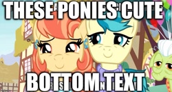 Size: 889x475 | Tagged: safe, edit, edited screencap, screencap, character:aunt holiday, character:auntie lofty, character:granny smith, species:pony, ship:lofty day, episode:the last crusade, g4, my little pony: friendship is magic, abuse, bottom text, caption, cartoonito logo, duo focus, edited edit, female, holiday, image macro, lesbian, mare, opinion, shipping, text