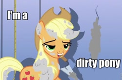 Size: 960x631 | Tagged: safe, edit, edited screencap, screencap, character:applejack, episode:it's about time, g4, my little pony: friendship is magic, bedroom eyes, cement, female, image macro, mouth hold, solo, trowel