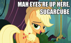 Size: 858x516 | Tagged: safe, edit, edited screencap, screencap, character:applejack, species:earth pony, species:pony, episode:spike at your service, g4, my little pony: friendship is magic, bedroom eyes, caption, female, image macro, mare, plot, rope