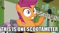Size: 640x360 | Tagged: safe, edit, edited screencap, screencap, character:scootaloo, character:sweetie belle, species:pegasus, species:pony, species:unicorn, caption, classroom, cute, episode needed, exploitable meme, female, filly, image macro, math, meme, science, solo focus, text