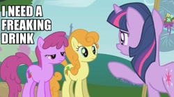 Size: 891x499 | Tagged: safe, edit, edited screencap, screencap, character:berry punch, character:berryshine, character:carrot top, character:golden harvest, character:twilight sparkle, episode:swarm of the century, g4, my little pony: friendship is magic, caption, image macro, mid-blink screencap