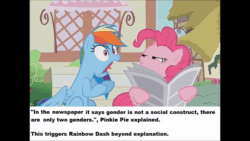 Size: 854x480 | Tagged: safe, edit, edited screencap, screencap, character:pinkie pie, character:rainbow dash, species:pony, episode:daring done, 4chan is evil, animated, meme, newspaper, ponestrip, reeee, sound, triggered, webm