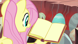 Size: 1920x1080 | Tagged: safe, edit, edited screencap, screencap, character:fluttershy, species:pony, episode:sweet and smoky, g4, my little pony: friendship is magic, book, egg, female, meme template, solo, template