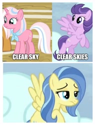 Size: 3106x4096 | Tagged: safe, edit, edited screencap, screencap, character:clear skies, character:clear sky, character:sunshower, episode:common ground, episode:tanks for the memories, g4, my little pony: friendship is magic, caption, image macro, know the difference, text, unamused, who's on first?