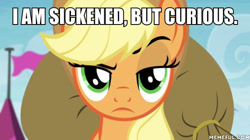 Size: 600x337 | Tagged: safe, edit, edited screencap, screencap, character:applejack, episode:trade ya, g4, my little pony: friendship is magic, caption, female, i'm sickened but curious, image macro, johnny bravo, solo, text