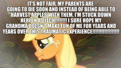Size: 2048x1152 | Tagged: safe, edit, edited screencap, screencap, character:applejack, episode:going to seed, g4, my little pony: friendship is magic, abuse, caption, crying, excessive exclamation marks, female, filly, filly applejack, image macro, implied bright mac, implied granny smith, implied pear butter, jackabuse, op is a duck, sad, sad but true, text, unfortunate implications, wall of text, younger