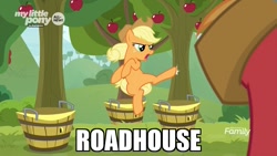 Size: 800x450 | Tagged: safe, edit, edited screencap, screencap, character:applejack, character:big mcintosh, species:earth pony, species:pony, episode:going to seed, g4, my little pony: friendship is magic, bucking, caption, discovery family logo, family guy, female, image macro, kicking, mare, meme, my little pony logo, patrick swayze, peter griffin, roadhouse, roundhouse kick, text