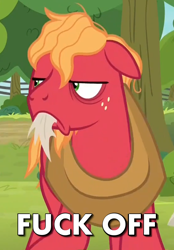 Size: 556x799 | Tagged: safe, edit, edited screencap, screencap, character:big mcintosh, species:earth pony, species:pony, episode:going to seed, g4, my little pony: friendship is magic, angry, bags under eyes, cropped, frown, fuck off, grumpy, i'm so done, male, meme, messy mane, solo, stallion, tired, vulgar