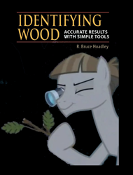 Size: 900x1186 | Tagged: safe, edit, edited screencap, screencap, character:mudbriar, species:earth pony, species:pony, episode:student counsel, book cover, cover, hoof hold, identifying wood, loupe, male, meme, solo, stallion, stick