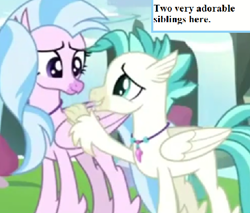Size: 473x403 | Tagged: safe, edit, edited screencap, screencap, character:silverstream, character:terramar, episode:student counsel, brother and sister, captain obvious, cropped, cute, diastreamies, female, inset, jewelry, male, necklace, siblings, terrabetes, text