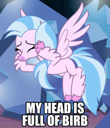 Size: 794x922 | Tagged: safe, edit, edited screencap, screencap, character:silverstream, species:classical hippogriff, species:hippogriff, episode:uprooted, g4, my little pony: friendship is magic, birb, caption, cropped, female, image macro, solo, text