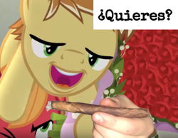 Size: 1115x867 | Tagged: safe, edit, edited screencap, screencap, character:big mcintosh, character:feather bangs, episode:hard to say anything, g4, my little pony: friendship is magic, caption, cropped, downvote bait, drugs, image macro, male, marijuana, meme, spanish, text, ¿quieres?