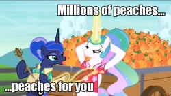 Size: 960x540 | Tagged: safe, edit, edited screencap, screencap, character:princess celestia, character:princess luna, species:alicorn, species:pony, episode:between dark and dawn, g4, my little pony: friendship is magic, banjo, caption, cartoonito logo, fence, image macro, musical instrument, peaches, silly, text, very silly, very very silly, wagon