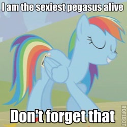 Size: 295x295 | Tagged: safe, edit, edited screencap, screencap, character:rainbow dash, species:pegasus, species:pony, eyes closed, female, image macro, mare, sexiest pony alive, solo