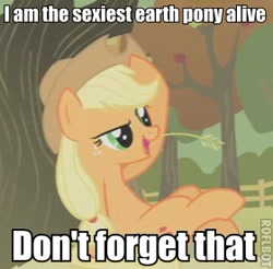 Size: 280x275 | Tagged: safe, edit, edited screencap, screencap, character:applejack, species:earth pony, species:pony, female, image macro, mare, sexiest pony alive, sitting, solo