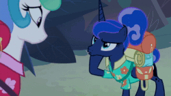 Size: 1280x720 | Tagged: safe, edit, edited screencap, screencap, character:princess celestia, character:princess luna, species:pony, episode:between dark and dawn, g4, my little pony: friendship is magic, animated, awkward moment, forest, night, sound, webm
