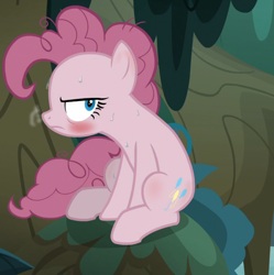 Size: 1120x1124 | Tagged: safe, edit, edited screencap, screencap, character:mean pinkie pie, species:pony, episode:the mean 6, g4, my little pony: friendship is magic, blushing, clone, cropped, solo, sweat
