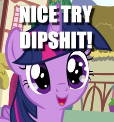 Size: 387x411 | Tagged: safe, edit, edited screencap, screencap, character:twilight sparkle, character:twilight sparkle (alicorn), species:alicorn, species:pony, episode:pinkie pride, g4, my little pony: friendship is magic, caption, cropped, cute, dipshit, female, image macro, reaction image, solo, starry eyes, text, twiabetes, vulgar, wingding eyes