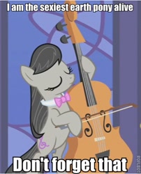 Size: 390x482 | Tagged: safe, edit, edited screencap, screencap, character:octavia melody, species:earth pony, species:pony, episode:the best night ever, g4, my little pony: friendship is magic, cello, eyes closed, female, image macro, mare, meme, musical instrument, reaction image, sexiest pony alive, solo
