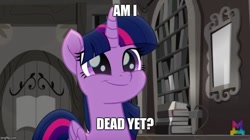 Size: 888x499 | Tagged: safe, edit, edited screencap, screencap, character:twilight sparkle, character:twilight sparkle (alicorn), species:alicorn, species:pony, friendship is magic: rainbow roadtrip, g4, my little pony: friendship is magic, book, bookshelf, caption, colorless, cute, dissonant caption, faec, female, foodfight!, image macro, jontron, library, meme, smiling, solo, text, twilight sparkle is best facemaker