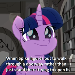 Size: 1024x1024 | Tagged: safe, edit, edited screencap, screencap, character:twilight sparkle, character:twilight sparkle (alicorn), species:alicorn, species:pony, friendship is magic: rainbow roadtrip, g4, my little pony: friendship is magic, book, bookshelf, cropped, cute, female, implied spike, library, mare, smiling, solo, text, twiabetes