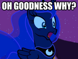 Size: 428x324 | Tagged: safe, edit, edited screencap, screencap, character:princess luna, species:alicorn, species:pony, episode:luna eclipsed, g4, my little pony: friendship is magic, female, image macro, mare, solo, why