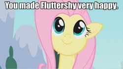 Size: 853x480 | Tagged: safe, edit, edited screencap, screencap, character:fluttershy, species:pegasus, species:pony, female, image macro, mare, smiling, solo
