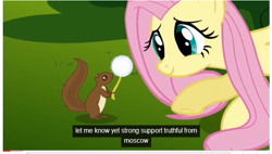 Size: 653x370 | Tagged: safe, edit, edited screencap, screencap, character:fluttershy, species:pony, episode:swarm of the century, g4, my little pony: friendship is magic, caption, dandelion, meme, moscow, russia, squirrel, youtube caption
