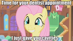 Size: 800x450 | Tagged: safe, edit, edited screencap, screencap, character:fluttershy, species:pegasus, species:pony, episode:stare master, g4, my little pony: friendship is magic, female, fluttershy's cottage, image macro, mare, smiling, solo
