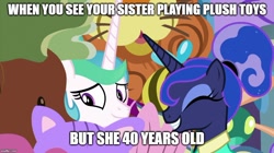 Size: 888x499 | Tagged: safe, edit, edited screencap, screencap, character:princess celestia, character:princess luna, species:pony, episode:between dark and dawn, g4, my little pony: friendship is magic, cute, embarrassed, eyes closed, female, grammar error, imgflip, meme, plushie, siblings, sisters, when x and y