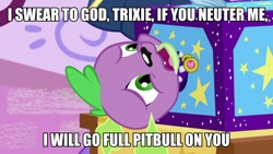 Size: 1200x675 | Tagged: safe, edit, edited screencap, screencap, character:spike, character:spike (dog), species:dog, episode:street magic with trixie, g4, my little pony: equestria girls, my little pony:equestria girls, spoiler:eqg series (season 2), caption, image macro, implied trixie, text