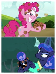 Size: 3106x4096 | Tagged: safe, edit, edited screencap, screencap, character:pinkie pie, character:princess luna, species:pony, episode:between dark and dawn, episode:rock solid friendship, g4, my little pony: friendship is magic, stingbush seed pods