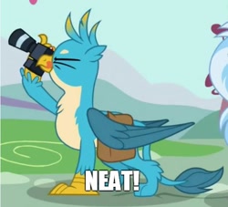 Size: 522x473 | Tagged: safe, edit, edited screencap, screencap, character:gallus, character:silverstream, species:griffon, episode:dragon dropped, g4, my little pony: friendship is magic, bender bending rodriguez, camera, chest fluff, cropped, cute, futurama, gallabetes, male, meme, neat, offscreen character, one eye closed, saddle bag, that's lobstertainment!, tongue out