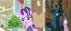 Size: 2264x988 | Tagged: safe, edit, edited screencap, screencap, character:mean twilight sparkle, character:phyllis, character:queen chrysalis, character:starlight glimmer, species:changeling, species:pony, species:unicorn, episode:a horse shoe-in, episode:frenemies, g4, my little pony: friendship is magic, changeling queen, comparison, dead, female, log, mean twilight log, plant, starlight's office, twilog, wood