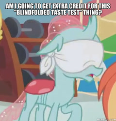 Size: 600x627 | Tagged: safe, edit, edited screencap, screencap, character:ocellus, species:changedling, species:changeling, species:reformed changeling, episode:2-4-6 greaaat, blindfold, caption, cropped, female, image macro, solo, text