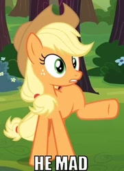 Size: 362x500 | Tagged: safe, edit, edited screencap, screencap, character:applejack, species:earth pony, species:pony, episode:spike at your service, g4, my little pony: friendship is magic, female, image macro, mare, raised leg
