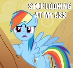 Size: 762x713 | Tagged: safe, edit, edited screencap, screencap, character:rainbow dash, episode:over a barrel, g4, my little pony: friendship is magic, cropped, desert, female, hub logo, image macro, looking at you, plot, solo