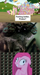 Size: 640x1202 | Tagged: safe, edit, edited screencap, screencap, character:fluttershy, character:pinkamena diane pie, character:pinkie pie, species:earth pony, species:pegasus, species:pony, episode:party of one, episode:too many pinkie pies, g4, my little pony: friendship is magic, butterfly, contemplating insanity, female, insanity face, mare, scary, spongebob squarepants, wormy