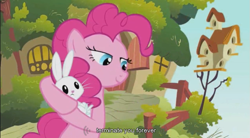 Size: 851x470 | Tagged: safe, edit, edited screencap, screencap, character:angel bunny, character:pinkie pie, episode:baby cakes, g4, my little pony: friendship is magic, caption, implied angelbuse, implied death, youtube caption
