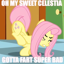 Size: 455x455 | Tagged: safe, edit, edited screencap, screencap, character:fluttershy, species:pegasus, species:pony, caption, eyes closed, female, gritted teeth, image macro, mare, need to fart, solo, text