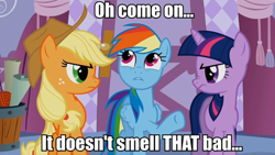 Size: 858x484 | Tagged: safe, edit, edited screencap, screencap, character:applejack, character:rainbow dash, character:twilight sparkle, species:earth pony, species:pegasus, species:pony, species:unicorn, caption, carousel boutique, female, glare, image macro, implied farting, mare, raised hoof