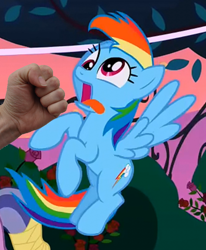 Size: 660x800 | Tagged: safe, edit, edited screencap, screencap, character:rainbow dash, species:pegasus, species:pony, abuse, dashabuse, derp, female, fist, mare, punch