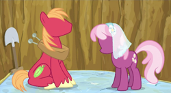 Size: 1276x692 | Tagged: safe, edit, edited screencap, screencap, character:big mcintosh, character:cheerilee, species:earth pony, species:pony, episode:hearts and hooves day, g4, my little pony: friendship is magic, duo, male, mattress, no face, shovel, stallion, template, wedding veil