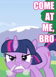 Size: 339x469 | Tagged: safe, edit, edited screencap, screencap, character:twilight sparkle, episode:a canterlot wedding, g4, my little pony: friendship is magic, angry eyes, come at me bro, female, image macro, meme, solo, steam